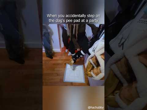 When you accidentally step on the dog's pee pad at a party thumbnail