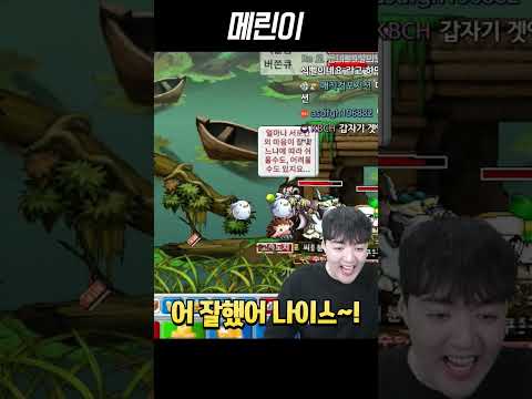 14살 메린이 키우기 thumbnail