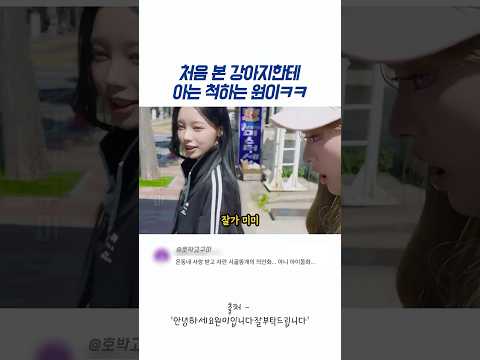 처음 본 강아지한테 아는 척하는 원이ㅋㅋ thumbnail