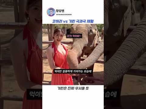 코끼리보다 기린이 더 무서워😱 thumbnail