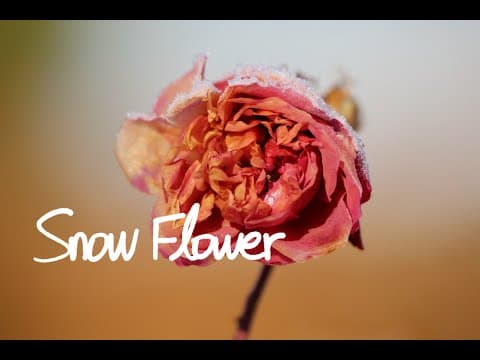 July - Snow Flower thumbnail