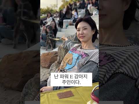 밤콩이랑 나가면 나도 선택적 E가 되어야한다. thumbnail