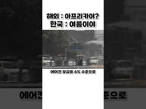 우리나라 역대급 여름 레전드 thumbnail