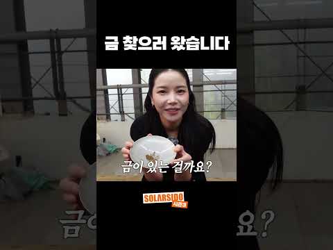 금 봤다!! thumbnail
