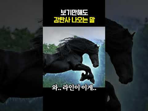 보기만 해도 감탄사 나오는 말 thumbnail