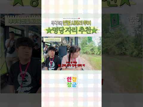 푸꾸옥 빈펄 사파리 자리 추천🔥 thumbnail
