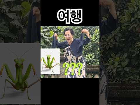 전재산 다 팔고 여행만 다니자는 502호 thumbnail