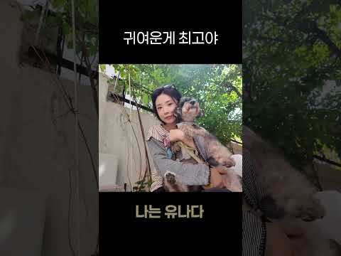 귀여운게 최고야 ! thumbnail