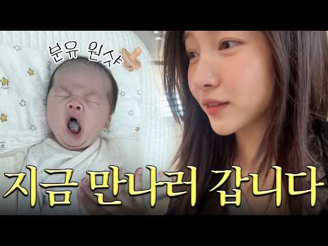 이모 결심했다 오늘부터 조카들 지키기로… 둘째 조카와의 첫만남🎊 | 김소원 (SOWON) thumbnail