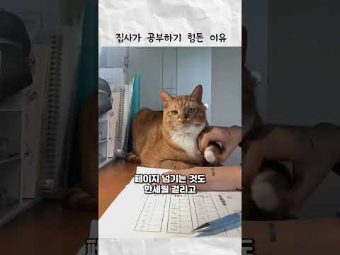 집사가 공부하기 힘든 이유 thumbnail