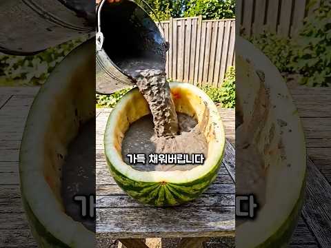 수박 껍질에 시멘트를 채워버리는 이유 thumbnail