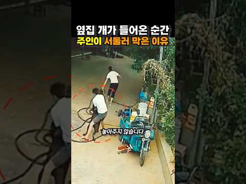 옆집 개가 들어온 순간, 주인이 서둘러 막은 이유 😭😭 thumbnail