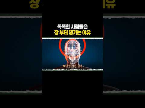 대부분 모르는 장의 놀라운 기능 3가지 thumbnail