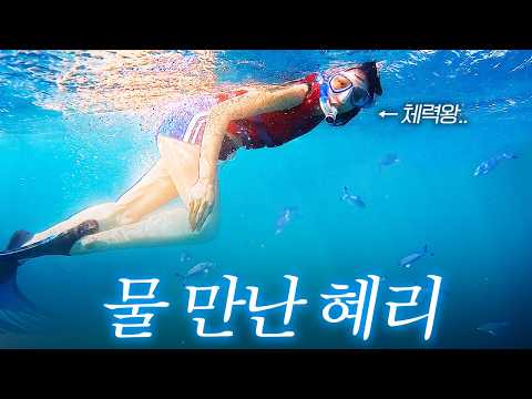 함께 바다로 나간 사람들은 전부 지쳐 돌아왔습니다.. thumbnail
