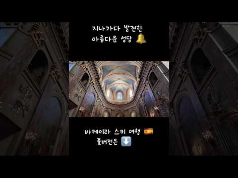 지나가다 발견한 #툴루즈 #성당 #프랑스남부 #europe #vlog #유튜버 #파리vlog thumbnail