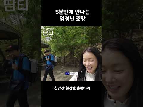 5분만에 만나는 엄청난 조망 #칠갑산 #천장호 #출렁다리 #이시영 #leesiyoung thumbnail