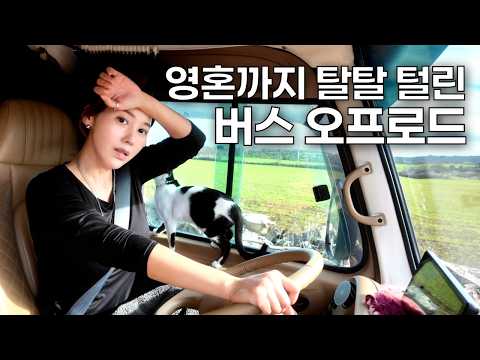 (112) 스타링크 미니를 캠핑카에 달고 험로 10km를 달려보았습니다~ 🇮🇹 thumbnail