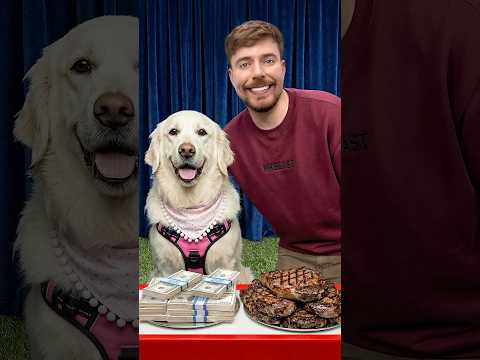 Would Your Dog Pick $10,000 or Steak? thumbnail