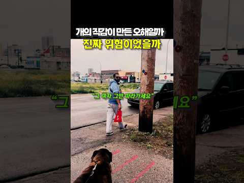 개의 직감이 만든 오해일까, 진짜 위험이었을까 😭😭 thumbnail