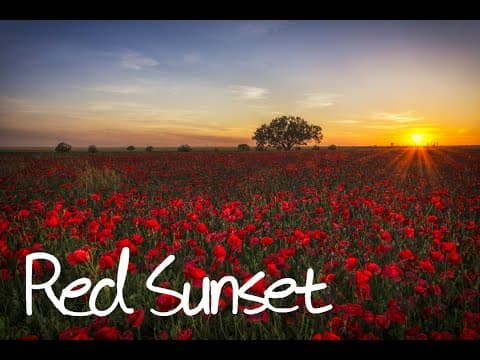 July - Red Sunset thumbnail