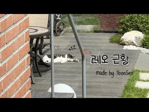레오 근황 [LIFE] thumbnail