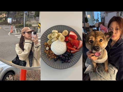 3월 VLOG, 쿠마를 다시 임보하는 이유 그리고 그냥저냥 일상 모음zip [MINSEO VLOG] thumbnail