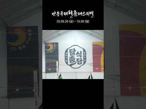 먹고 즐기고 또 먹고! 🤤 안동탈춤 맛존 탐방🍽 thumbnail