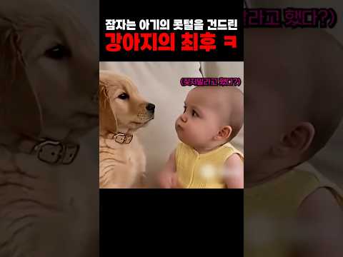 건드리면 안 될 것을 건드리고 말았다 ㅋㅋㅋ thumbnail