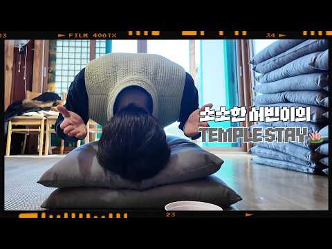 [소소빈] 신년 운세 봤다가 절까지 가게 됨 🙇‍♂️ | 사주풀이 | 대원사 템플스테이 thumbnail