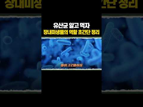 알고 먹으면 '효과 2배' 모르고 먹으면 독 유산균 thumbnail