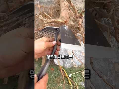 양쪽 날로 잡초를 긁어버리는 도구 thumbnail