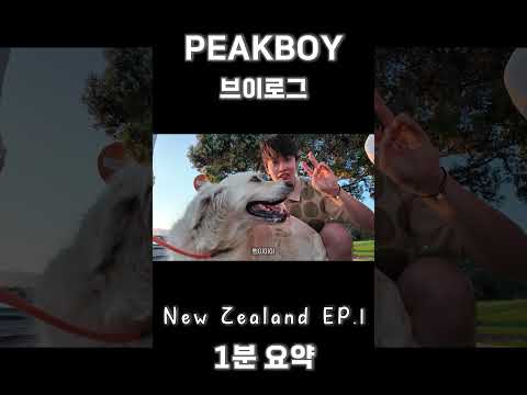 픽보이 뉴질랜드 1 thumbnail