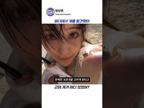 바다에서 본 게가 왜 하얗지?🦀 thumbnail