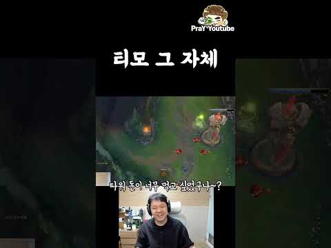 티모 그 자체 thumbnail