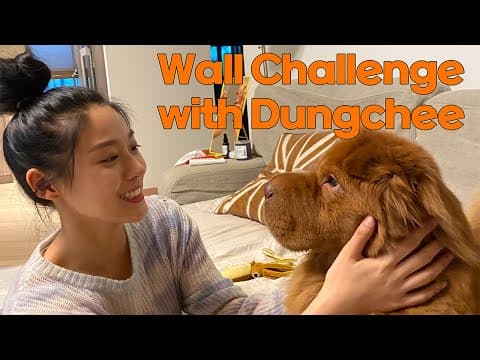 덩치랑 벽짚기 챌린지🐾 | 설현 Vlog | 눈이 부시게 by 설현 thumbnail