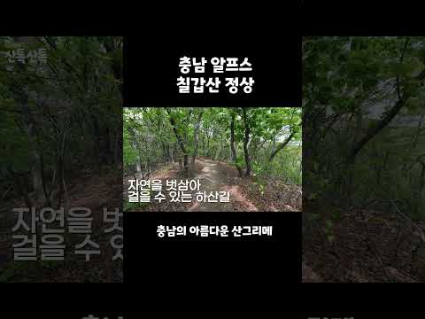 칠갑산 정상 #충남알프스 #칠갑산 #이시영 #leesiyoung thumbnail