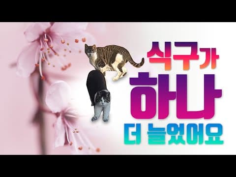 식구가 하나 더 늘었어요 [LIFE] thumbnail
