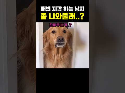 엄빠가 늘 지각하는 이유 ㅋㅋ 내가 어떻게 널 두고 가니 ㅠㅠ😭 thumbnail