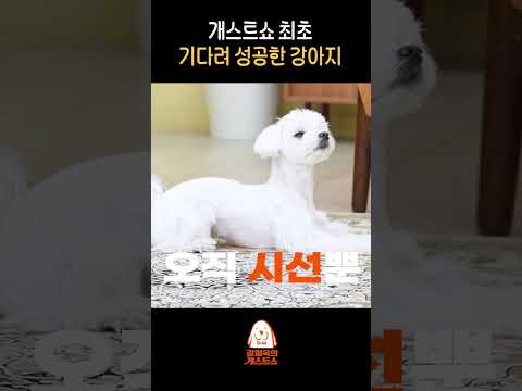 기다려 대회 우승 후보 등장 thumbnail