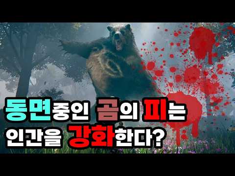 동면의 화학! 잠든 곰의 피는 인간 근육을 강화한다? thumbnail