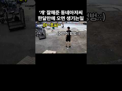 택배 찾으러온 동네 아저씨를 한달만에 만난 댕댕이 반응 thumbnail