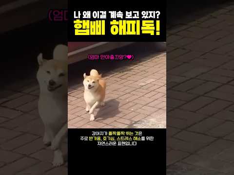 안아줭❤️ 여러분 애기들은 어떻게 반기나요?ㅋ thumbnail