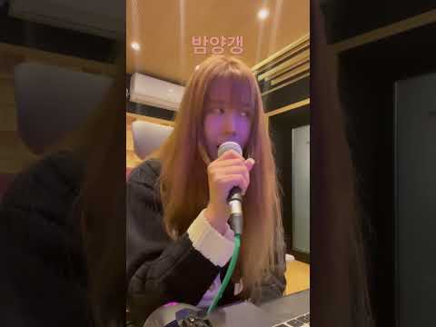 밤양갱 cover #coversong #shorts #kpop #bibi thumbnail