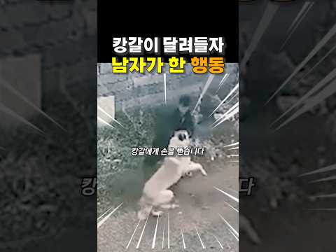 캉갈이 달려들자 남자가 한 행동 😭😭 thumbnail