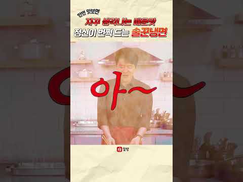 여름철 시원하게 매운 맛! 밀팡 술꾼 냉면 thumbnail
