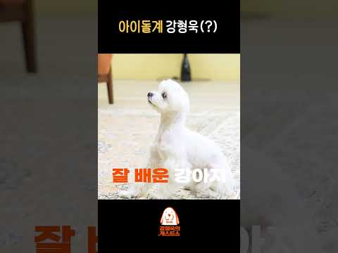 강형욱도 탐내는 훈련사 인재 thumbnail