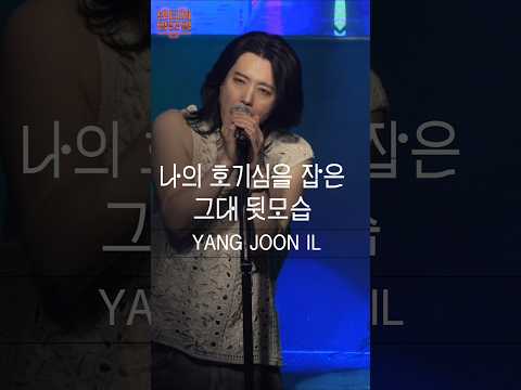 목요일 7시 멤버십에서 "나의 호기심을 잡은 그대 뒷모습" 영상이 공개됩니다! #양준일 #shorts #양준일콘서트 thumbnail