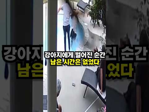 강아지에게 벌어진 순간, 남은 시간은 없었다 😭😭 thumbnail