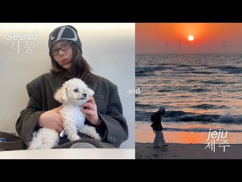 cooking at home, last few days with 🐶, best spots in jeju for foodies thumbnail
