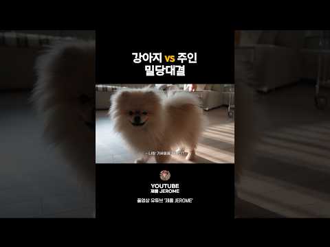 밀당 강아지 thumbnail